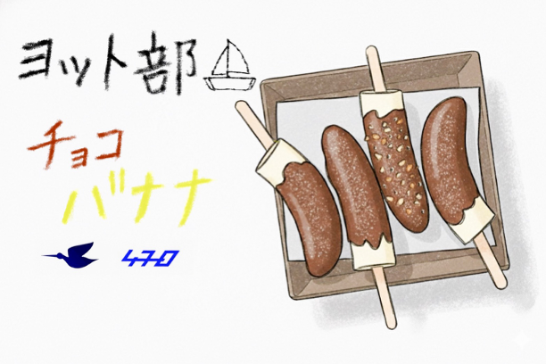 ヨット部
